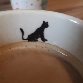 A cat on my coffee